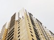 Sản phẩm “sơn xanh” sẽ là xu hướng tất yếu. Ảnh: Dũng Minh