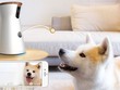 Furbo - camera thông minh cho cún yêu