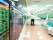 Các quỹ ETF nội như VFMVN30 và SSIAM VNX50 đều ghi nhận lợi nhuận ấn tượng thời gian qua