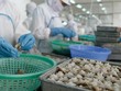Chính phủ cần tập trung khơi thông các nguồn lực trong nước, phát triển mạnh mẽ khu vực kinh tế tư nhân