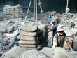 10 tháng qua, trong khi sản lượng tiêu thụ xi măng trong nước giảm 3% cùng kỳ, thì xuất khẩu đã tăng tới 20%