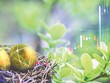 VN-Index vào Top 3 thế giới: Bình thường hay bất thường?