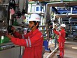 HDG, HDC, PVT, NT2... là những doanh nghiệp dự kiến đạt kết quả kinh doanh quý IV khả quan