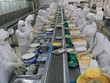 Việc công bố thông tin lỗ vào cuối tuần trước, ngược lại hoàn toàn so với công bố trước đó khiến giá cổ phiếu HVG đang tăng mạnh chuyển trạng thái lao dốc không phanh (ảnh minh họa)