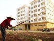 NHNN thúc giục 9 ngân hàng triển khai gói tín dụng 145.000 tỷ đồng cho nhà ở xã hội