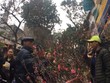 Chợ hoa mỗi năm chỉ họp dịp Tết ở phố cổ Hà Nội