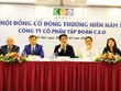 Quý I, CEO Group đạt 20% kế hoạch lợi nhuận năm