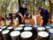 Giá cao su thiên nhiên biến động thất thường khiến các doanh nghiệp trong ngành thận trọng trong xây dựng kế hoạch kinh doanh 2018