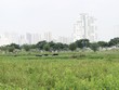 Nở rộ mốt “xí phần” dự án để sang tay kiếm lời
