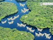 Nửa cuối năm, dò khẩu vị dòng tiền đầu tư trên thị trường địa ốc