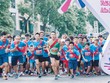 Hơn 700 vận động viên không chuyên đã thử sức ở Giải chạy tiếp sức gia đình MB Ageas Life Family Ekiden 
