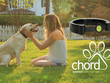 Chord – Thiết bị đeo, kiểm soát thú cưng