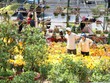 Giá hoa Tết rẻ, người Sài Gòn rủ nhau đi mua hoa sớm chơi Tết