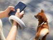 Dây dắt chó thông minh có thể dùng điện thoại để điều khiển
