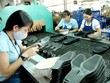 Đại diện Lefaso cho biết, ngành da giày vẫn gặp khó khăn lớn bởi chưa chủ động được nguồn cung ứng da nguyên liệu, do phụ thuộc nhập khẩu.