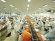 Trong 5 tháng đầu năm 2019, xuất khẩu thủy sản của Việt Nam giảm 1,7% trong khi nhập khẩu tăng tới 5,3%.