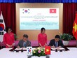 Việt Nam - Hàn Quốc hợp tác xây dựng chính sách phát triển cân bằng quốc gia