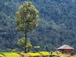 Quản lý phát thải carbon: Doanh nghiệp Việt không quan tâm sẽ chậm