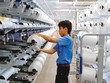 Xoay trục sản phẩm, Sợi Thế Kỷ vững vàng tăng trưởng