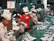 Adidas và Nike đều đang gia tăng sản xuất tại Việt Nam.