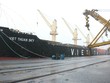 Sáng mùng 1 Tết, Tàu Viet Thuan Sky xông Cảng Cẩm Phả bốc rót 45.000 tấn than chở đi tiêu thụ. Ảnh: Phạm Tăng.