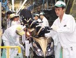 Honda Việt Nam - nhà sản xuất xe máy lớn nhất Việt Nam, tạm dừng sản xuất 15 ngày
