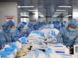 Để xuất khẩu khẩu trang và quần áo bảo hộ y tế vào EU, các doanh nghiệp cần đáp ứng các tiêu chuẩn của thị trường EU, tránh sản xuất đại trà không theo tiêu chuẩn nào.