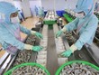 EVFTA được phê chuẩn tại Kỳ họp thứ 9, Quốc hội khóa XIV và có hiệu lực từ tháng 7 sẽ tiếp thêm động lực cho xuất khẩu của Việt Nam.