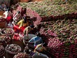 Thương mại 2 chiều Việt Nam-Trùng Khánh (Trung Quốc) 4 tháng 2020 đạt hơn 2 tỷ USD, 106,2% so với cùng kỳ năm trước.