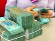 Dự kiến tổng mức giảm thu NSNN từ giảm thuế xuất khẩu, thuế nhập khẩu theo lộ trình của EVFTA khoảng 1.100 tỷ đồng/năm.