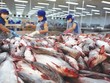 Hiệp định EVFTA có hiệu lực từ 1/8/2020 có thể sẽ là một “cú hích” cho xuất khẩu thủy sản Việt Nam trong những tháng cuối năm.