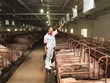 Doanh nghiệp nông nghiệp lãi tốt 6 tháng