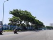 Tổ hợp dịch vụ pháo hoa quốc tế Đà Nẵng tại phường Mỹ An, quận Ngũ Hành Sơn là 1 trong 10 dự án, khu đất được đưa vào kế hoạch đấu giá chuyển quyền sử dụng đất năm 2020 để thu hút đầu tư.