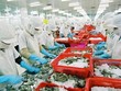 Kim ngạch xuất khẩu nhóm hàng nông, thủy sản giảm 9,9% so với tháng 7/2019, đạt 2,01 tỷ USD, trong đó thủy sản giảm 1,3%.