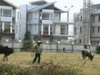 Hiện đang tồn tại nhiều hệ thống và mức độ định giá bất động sản khác nhau. Ảnh: Thành Nguyễn.