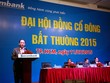 Cổ đông Sacombank thông qua phương án sáp nhập Southern Bank