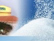 TTC Sugar (SBT) lãi sau thuế nữa niên độ 2020 - 2021 đạt gần 237 tỷ đồng