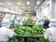 GC Food (GCF) đặt mục tiêu doanh thu đạt 523 tỷ đồng trong năm 2023