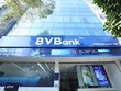 BVBank (BVB) chào bán gần 69 triệu cổ phiếu cho cổ đông hiện hữu, giá 10.000 đồng/CP