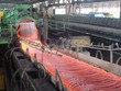 TLH đặt kế hoạch 265,32 tỷ đồng lợi nhuận sau thuế