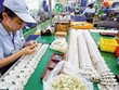 FDI của Nga vào Việt Nam có gì?