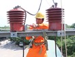 Công nhân điện lực Vĩnh Long đang kiểm tra hệ thống lưới điện. Ảnh: Tú Uyên (thanhnien.vn)