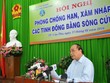 Phó thủ tướng Nguyễn Xuân Phúc phát biểu chỉ đạo tại Hội nghị Phòng chống hạn, xâm nhập mặn vùng ĐBSCL
