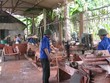 Nguồn vốn ngân sách nhà nước có hạn trong khi nhu cầu hỗ trợ từ các chương trình như xây dựng mô hình HTX kiểu mới quá nhiều