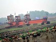 Nhà máy gang thép Thái Nguyên giai đoạn 2 hoang tàn vì bị phơi nắng 4 năm. Ảnh: HD