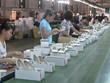 Sản xuất giày xuất khẩu. (Ảnh: Nguyễn Huế)