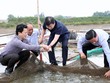Phó Thủ tướng Trịnh Đình Dũng thị sát việc nuôi trồng thủy sản ở Hà Tĩnh - Ảnh: Chinhphu.vn