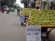 Nho Trung Quốc bán đầy đường Sài Gòn với giá 60.000 đồng một kg. Ảnh: Hồng Châu