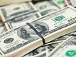 USD tăng vọt, trái với dự đoán trước bầu cử Tổng thống Mỹ