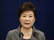 Tổng thống Hàn Quốc Park Geun-hye. Ảnh: Reuters